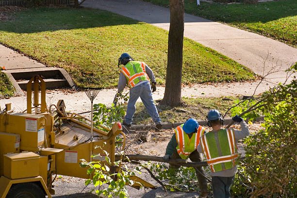 Best Tree Preservation Services  in Valparaiso, FL